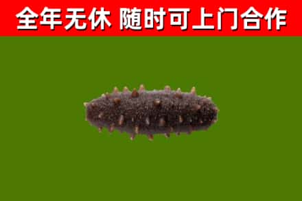 渝水区烟酒回收干海参.jpg